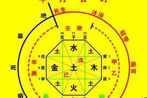 免費 八字 五行 算命|生辰八字算命、五行喜用神查詢（免費測算）